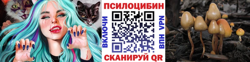 Галлюциногенные грибы MAGIC MUSHROOMS Купить закладки Старица