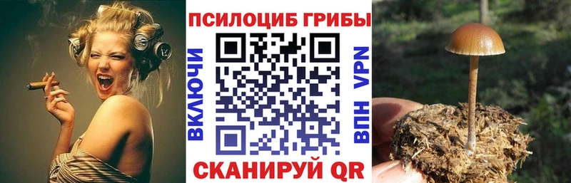 Галлюциногенные грибы ЛСД Старица